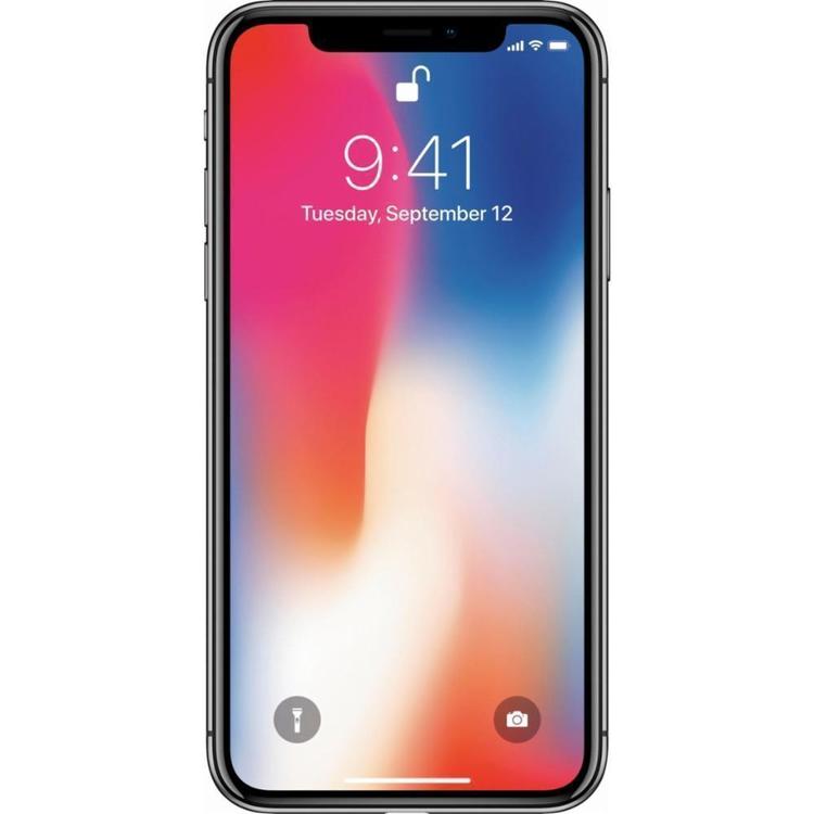 Apple iPhone X A1865 (Fully Unlocked) 256GB Space Gray (Excellent